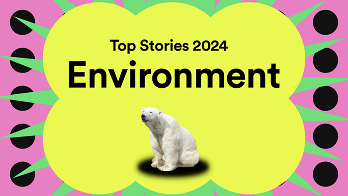 2024 Wrapped: This Year's Biggest Environmental News